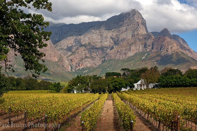 Franschhoek Wine Tram Hop-On Hop-Off Tour from Cape Town. - Arriving at the Franschhoek Wine Tram terminal