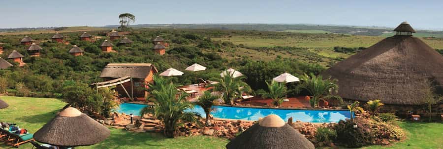 From Cape Town: 2-Day Safari at Garden Route Game Lodge - A fast route from Cape Town to the wild