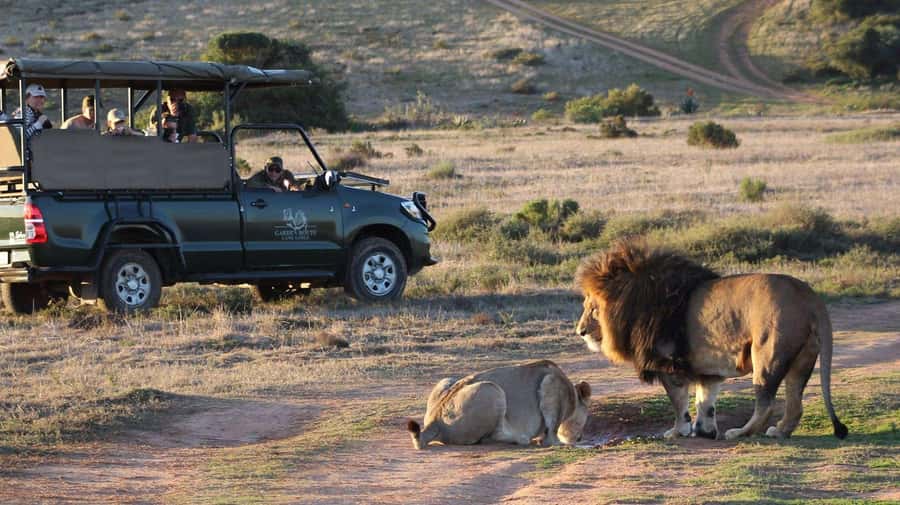 From Cape Town: 2-Day Safari at Garden Route Game Lodge - Cape Agulhas marks the southern edge of Africa