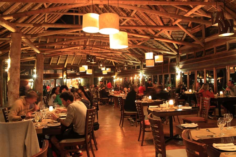 From Cape Town: 2-Day Safari at Garden Route Game Lodge - Is $533 good value?
