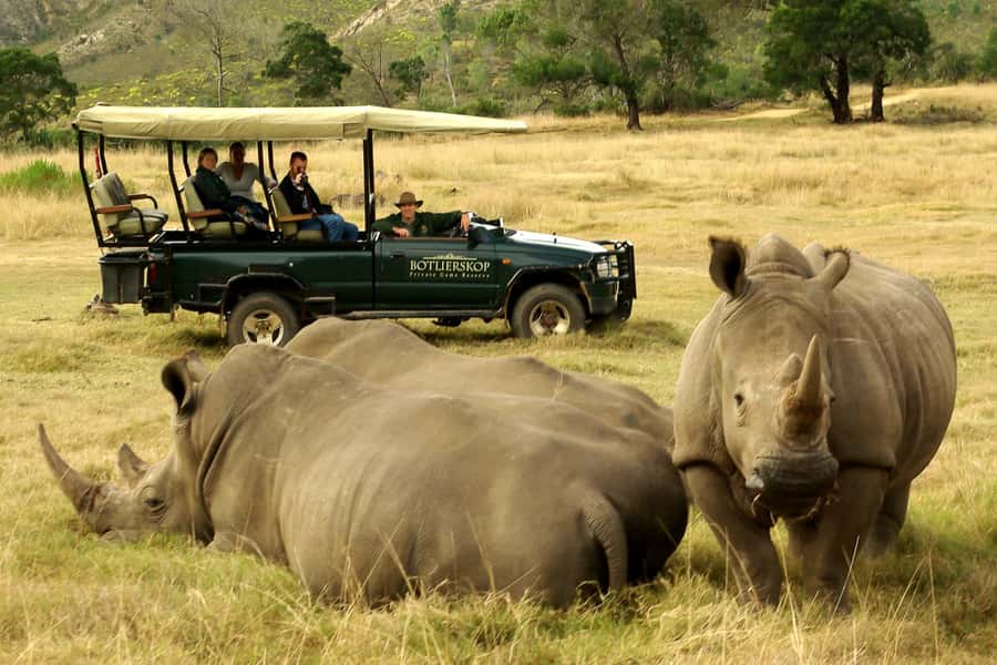 From Cape Town: 3-Day Garden Route Highlights and 4x4 Safari - Day two: elephants, paddling, and the Garden Route coast