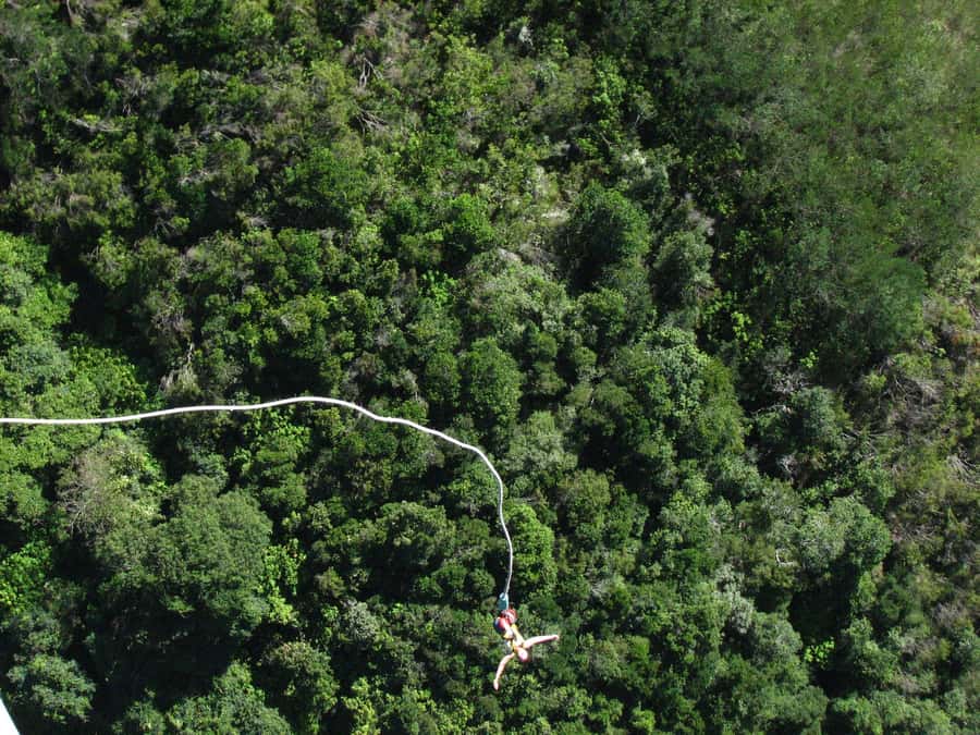 From Cape Town: 3-Day Garden Route Highlights and 4x4 Safari - Who should book this packed Garden Route trip?