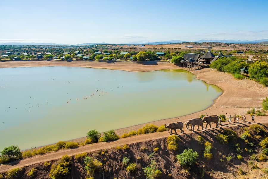 From Cape Town: 3-Day Garden Route Highlights and 4x4 Safari - Day one: Route 62 and the Cango Caves