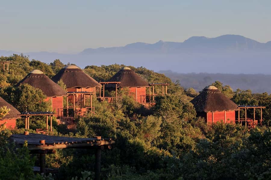 From Cape Town: 3-Day Garden Route Safari and Coastal Tour - Key points to know before booking
