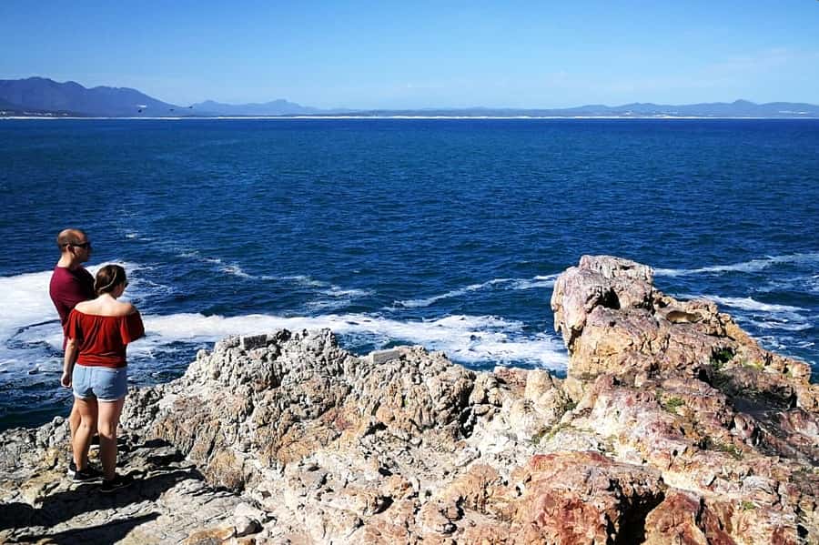 From Cape Town: 3-Day Garden Route Safari and Coastal Tour - Returning through Route 62