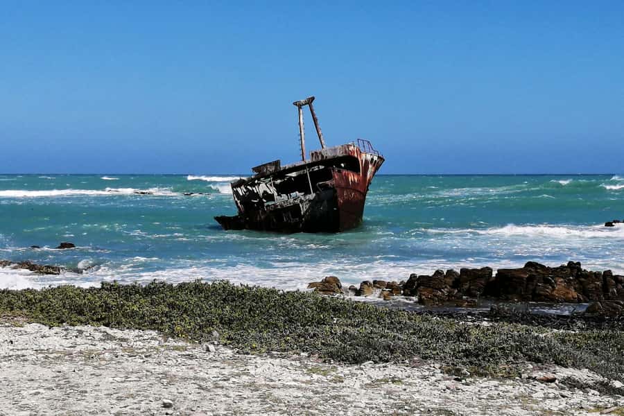 From Cape Town: 3-Day Garden Route Safari and Coastal Tour - Accommodation, meals, and what to pack