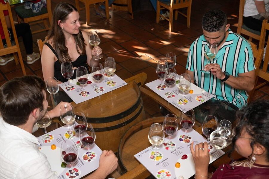 From Cape Town: 3 Regions Wine Tour with 3 Estates, 15 Wines - Timing, comfort, and group size