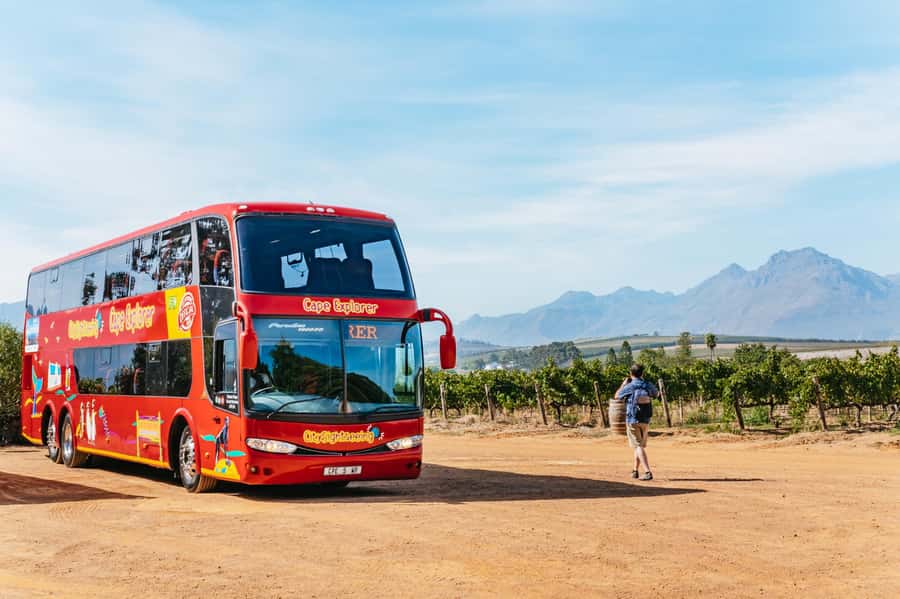 From Cape Town: 3 Regions Wine Tour with 3 Estates, 15 Wines - First stop: wine, cheese, and a cellar in Stellenbosch