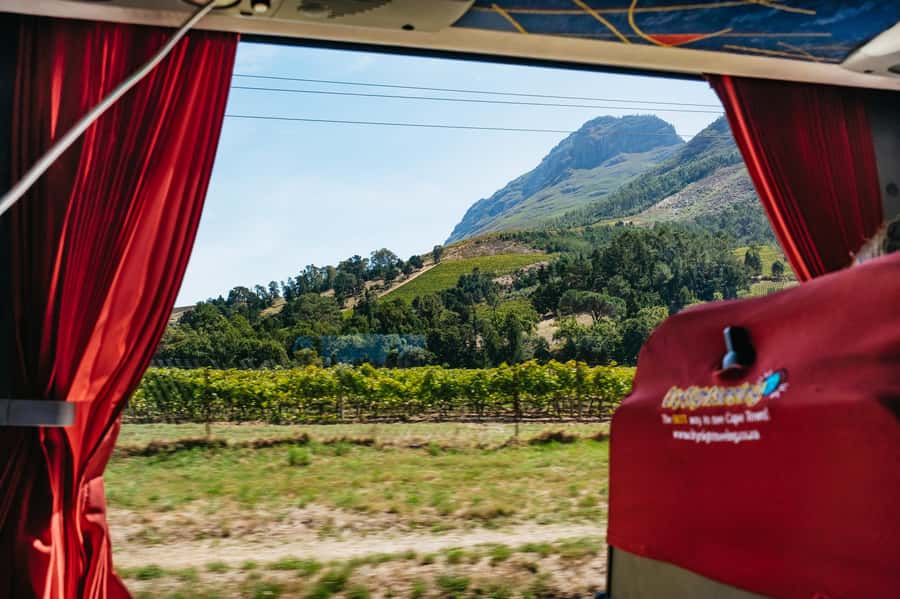 From Cape Town: 3 Regions Wine Tour with 3 Estates, 15 Wines - A short Mandela stop at Drakenstein Prison