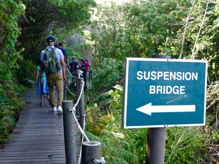 From Cape Town: 5-Day Best of Garden Route and Addo Safari - Key points to know before booking