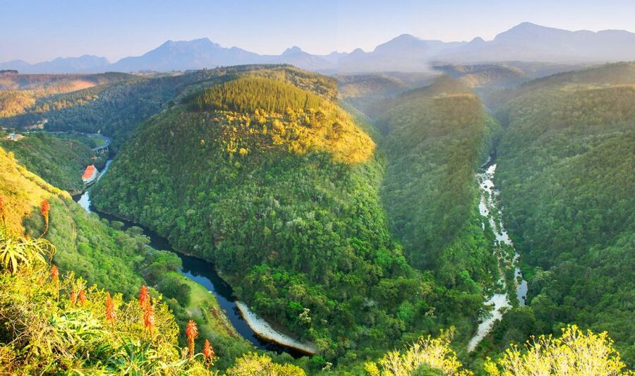 From Cape Town: 5-Day Best of Garden Route and Addo Safari - Accommodation: choose the right package