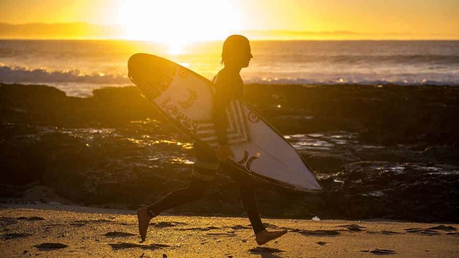 From Cape Town: 5-Day Best of Garden Route and Addo Safari - Food, costs, and what the $675 covers