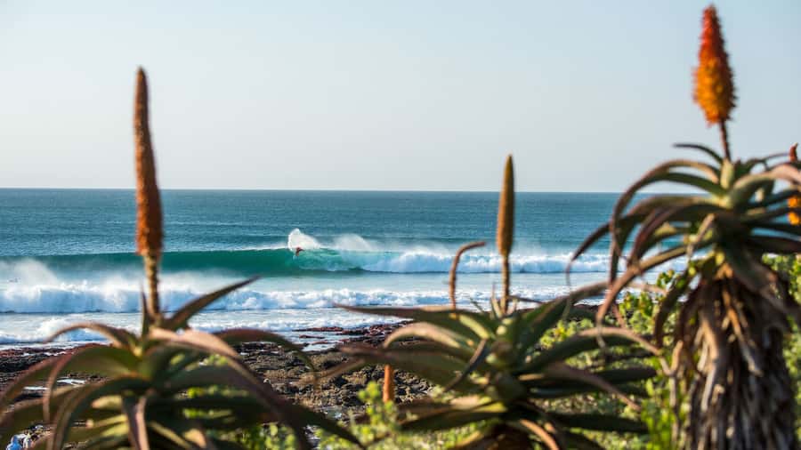 From Cape Town: 5-Day Best of Garden Route and Addo Safari - Day 1: Route 62 and the road to Oudtshoorn