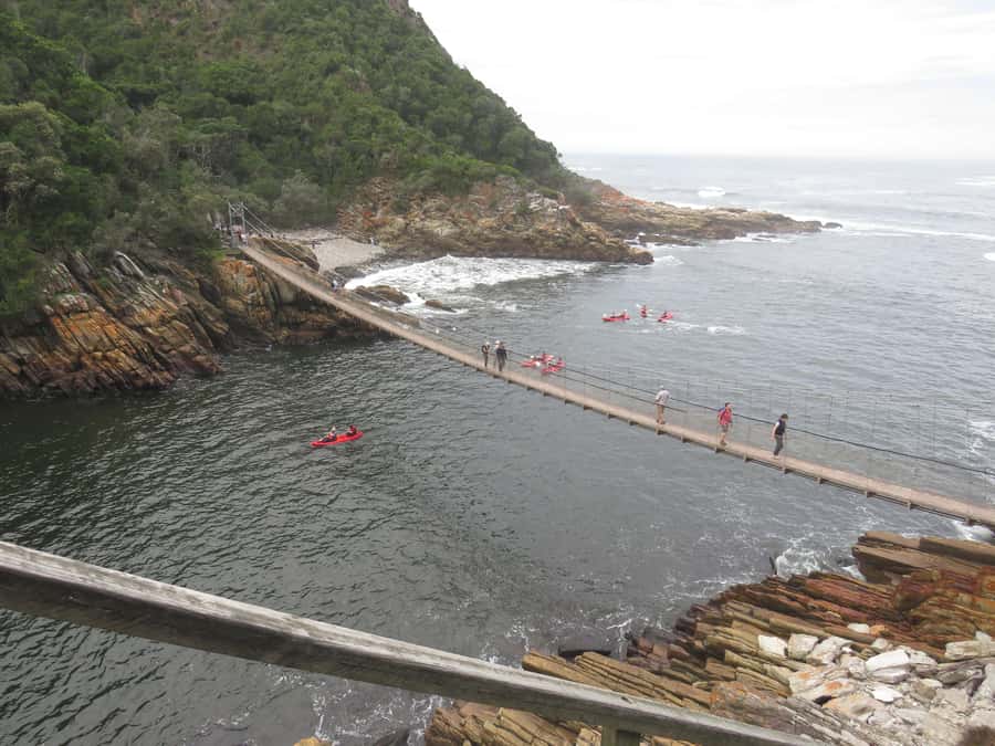 From Cape Town: 5-Day Garden Route & Addo Elephant Park Tour - Who will enjoy this tour most