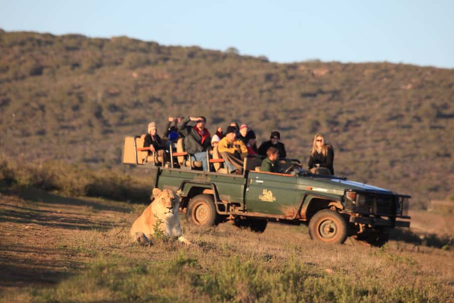 From Cape Town: 5-Day Garden Route & Addo Elephant Park Tour - Day 2: From mountain passes to Knysna