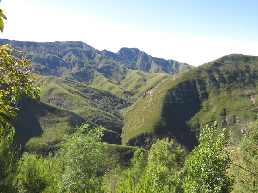 From Cape Town: 5-Day Garden Route & Addo Elephant Park Tour - Guides and the small-group setup