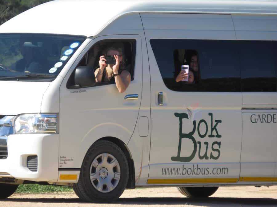 From Cape Town: 5-Day Garden Route & Addo Elephant Park Tour - What is covered, and what can raise the cost