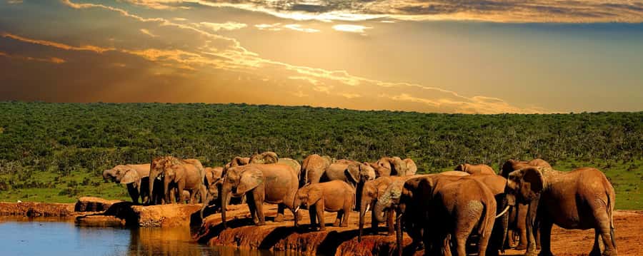 From Cape Town: 5-Day Garden Route & Addo Elephant Park Tour - Day 1: Cango Caves, ostriches, and the Little Karoo