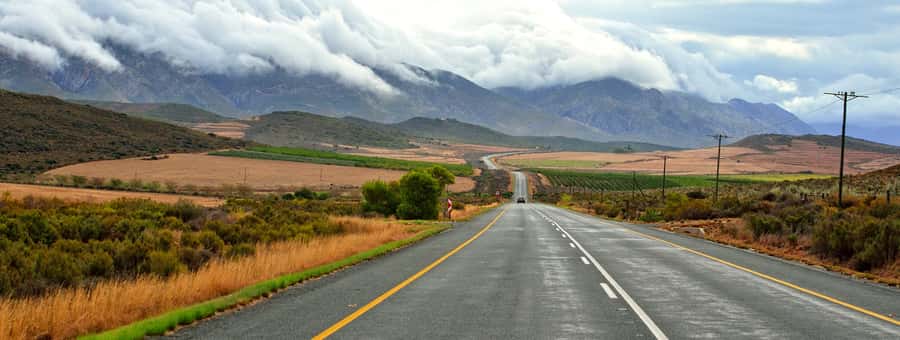 From Cape Town: 7-Day Garden Route, Addo and Winelands Combo - Day 2: Chapman’s Peak, Cape Point and Boulders Beach