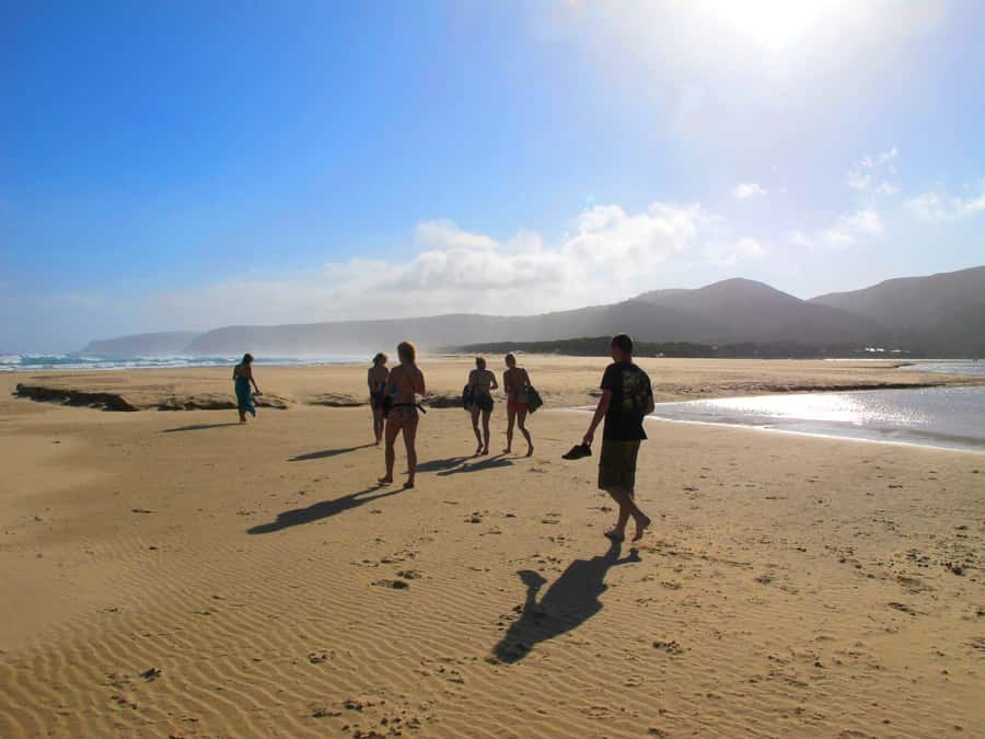 From Cape Town: 7-Day Garden Route, Addo and Winelands Combo - Day 3: Route 62, the Klein Karoo and Cango Caves