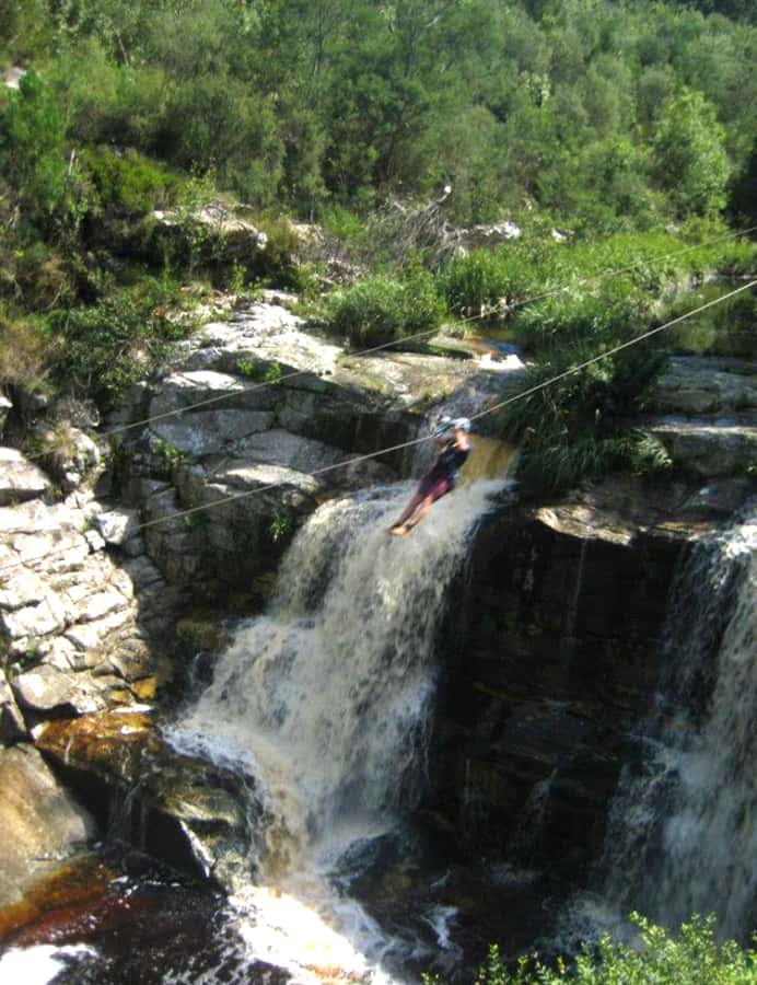 From Cape Town: 7-Day Garden Route, Addo and Winelands Combo - Day 4: local food and the road to Addo