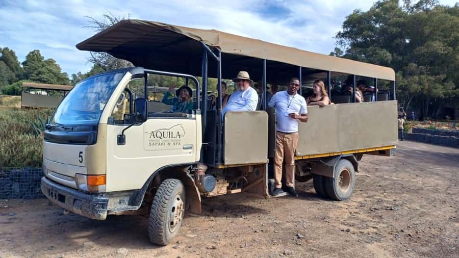 From Cape Town: Aquila Game Reserve Sunset Game Drive - Big Five sightings and realistic expectations
