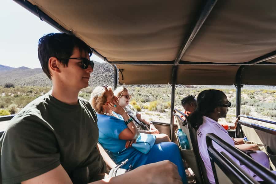 From Cape Town: Big Five Game Reserve with Lunch - Hotel pickup keeps the morning simple