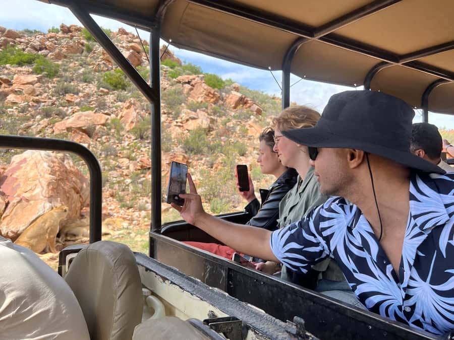 From Cape Town: Big Five Safari Experience with Lunch - Practical details for a smoother day