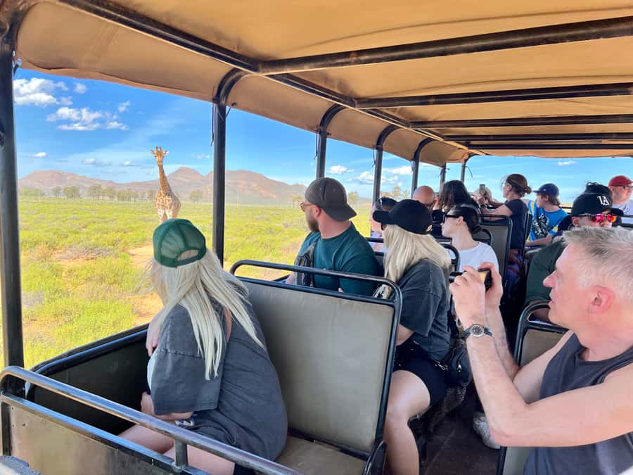 From Cape Town: Big Five Safari Experience with Lunch - The value of $137 per person