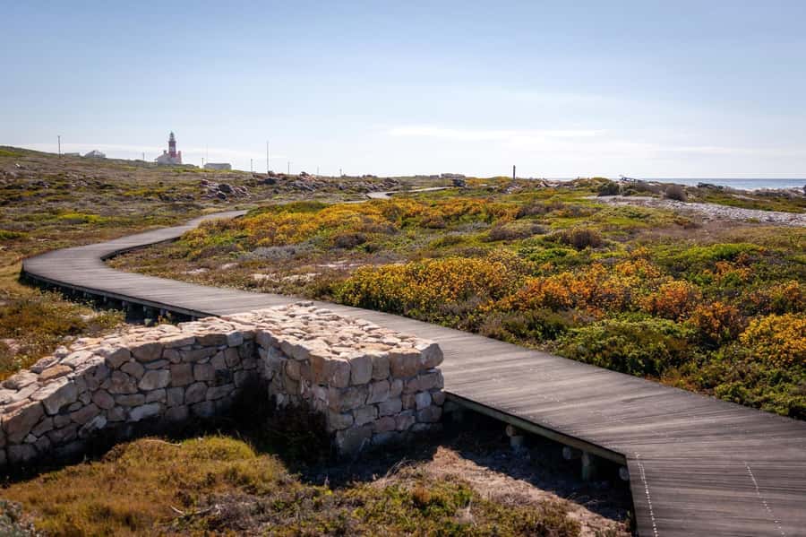 From Cape Town: Cape Agulhas, Penguins, Wine Tasting Tour - Should you book it?