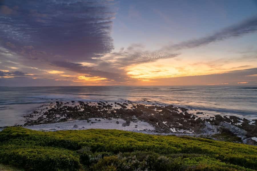 From Cape Town: Cape Agulhas, Penguins, Wine Tasting Tour - Cape Agulhas: the marker at Africa’s southernmost tip