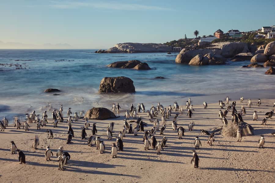From Cape Town: Cape Point and Boulders Beach Full-Day Tour - The walk from Cape Point to the Cape of Good Hope