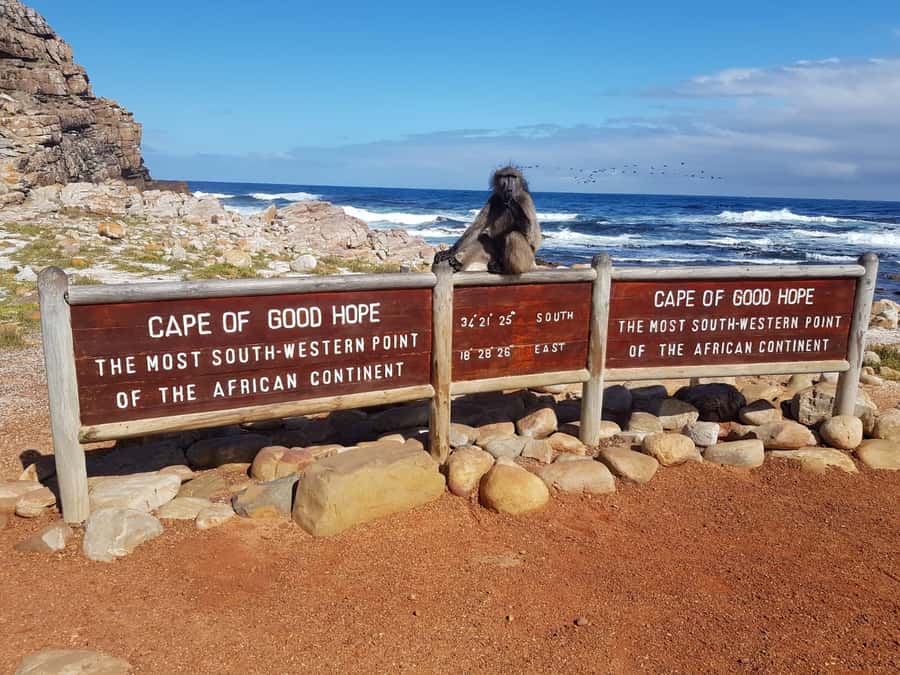 From Cape Town: Cape Point and Boulders Beach Full-Day Tour - The return over Ou Kaapse Weg