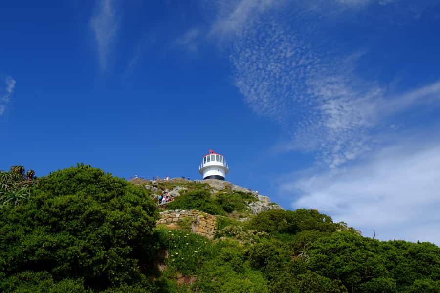 From Cape Town: Cape Point & Boulders Beach Full-Day Tour - Who should book this Cape Town day trip?