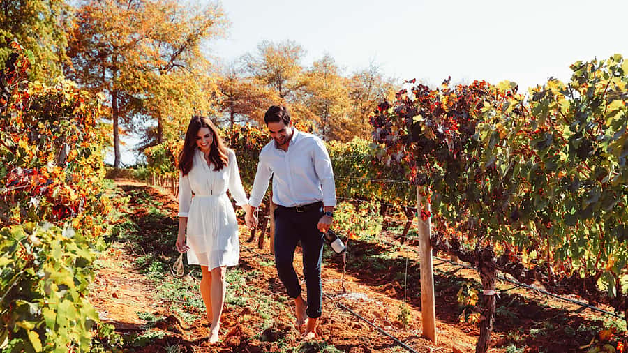 From Cape Town: Cape Winelands Full-Day Private Tour - A full day built around three Cape Winelands towns