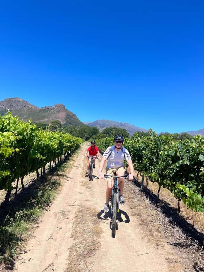 From Cape Town: Franschhoek Vineyards Bike Tour with Lunch - Why Franschhoek works so well by bicycle