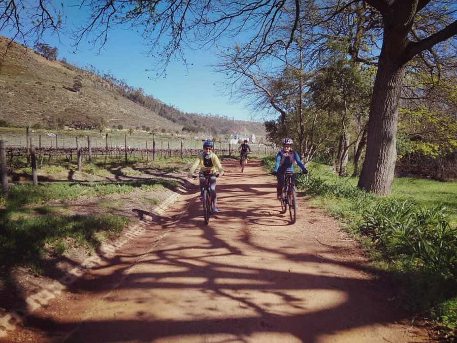 From Cape Town: Franschhoek Vineyards Bike Tour with Lunch - Starting at the Dutch Reformed Church