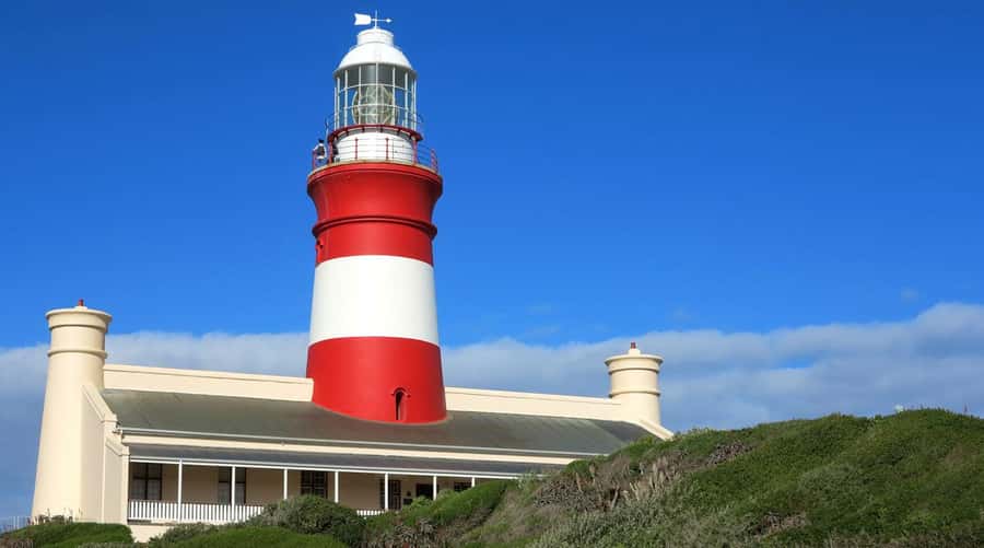 From Cape Town: Full-Day Cape Agulhas Private Tour - Who will enjoy this day most?