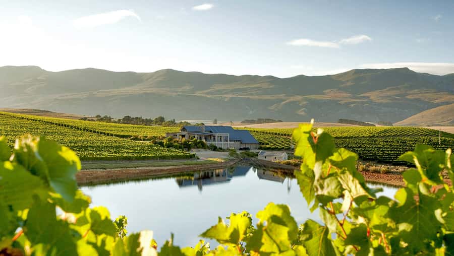 From Cape Town: Full-Day Cape Agulhas Private Tour - Lunch is a point you need to clarify