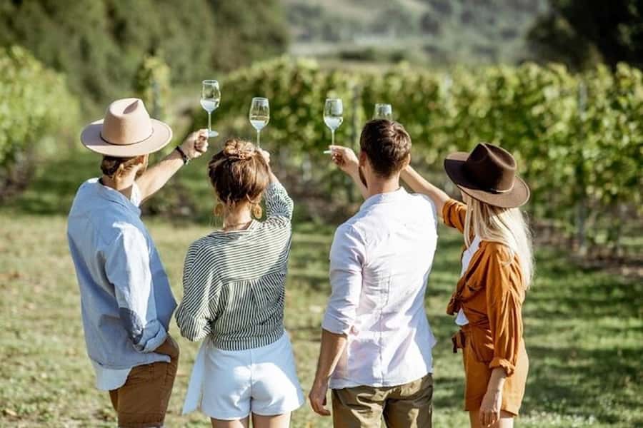 From Cape Town: Full-Day Cape Winelands Taste Tour + Tram - Key points to know before booking