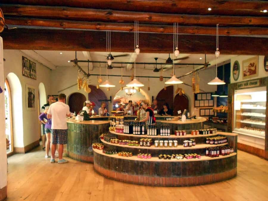 From Cape Town: Full-Day Cape Winelands Taste Tour + Tram - Who will enjoy this Cape Winelands tour most