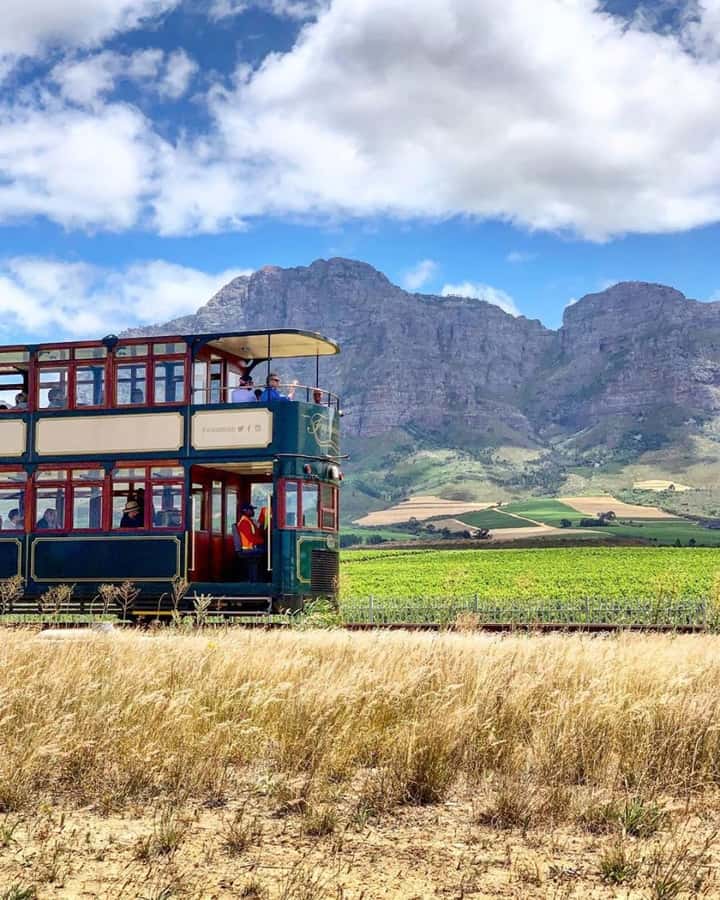 From Cape Town: Full-Day Cape Winelands Taste Tour + Tram - What the $143 price really covers