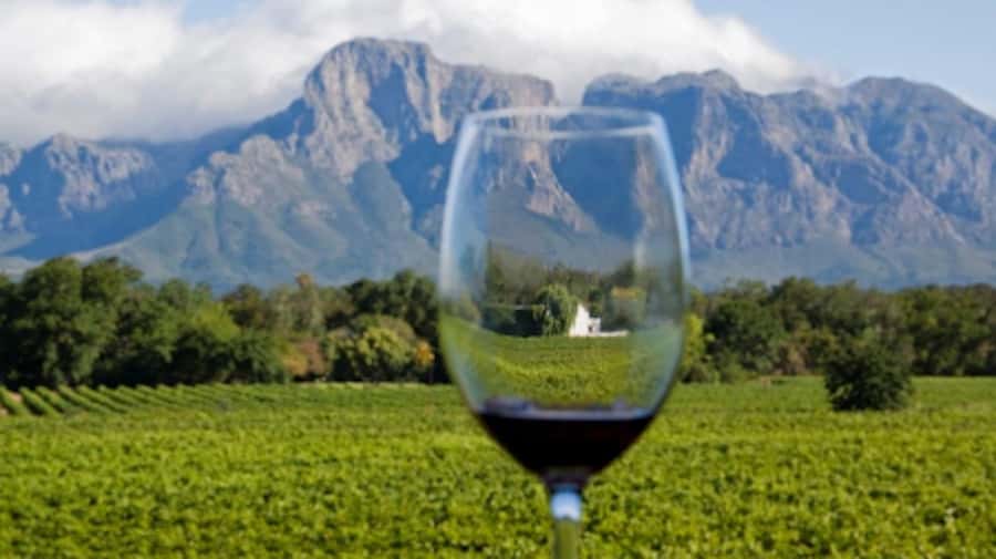 From Cape Town: Full-Day Cape Winelands Taste Tour + Tram - The guide can shape the whole day