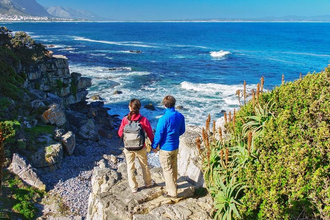 From Cape Town: Full Day Guided Hermanus and Whale Tour - Rotary Way delivers the first big view