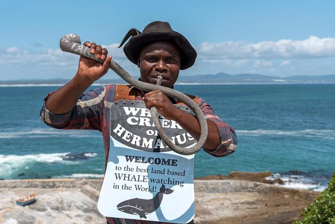 From Cape Town: Full Day Guided Hermanus and Whale Tour - Hermanus gives you both town time and whale country