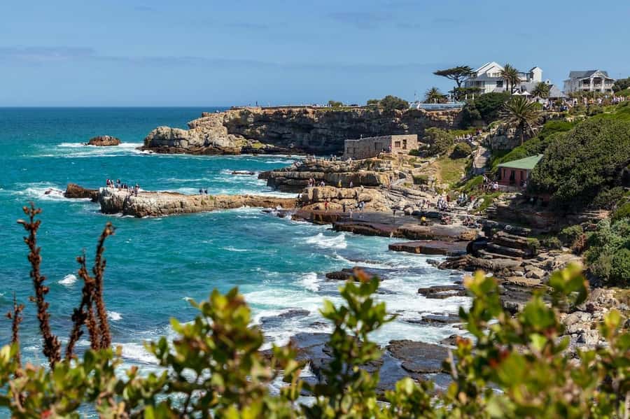 From Cape Town: Full-Day Hermanus Whale Watching Tour - One hour at Harold Porter Botanical Gardens