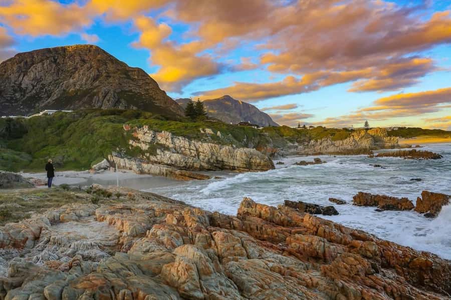 From Cape Town: Full-Day Hermanus Whale Watching Tour - Lunch, timing, and the small-group setup