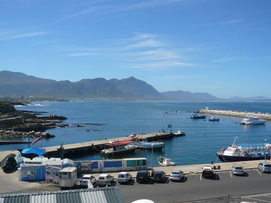 From Cape Town: Full Day Hermanus Whale Watching Tour - FAQ
