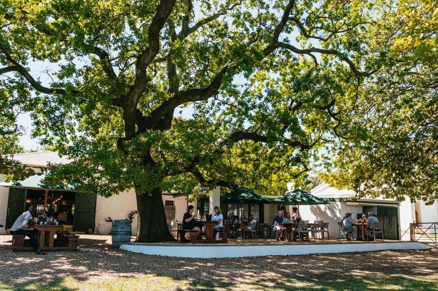 From Cape Town: Full Day Winelands Tour with wine tastings - The road from Cape Town to Paarl