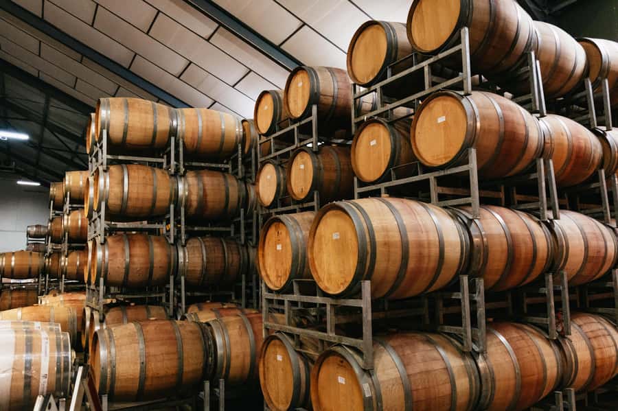From Cape Town: Full Day Winelands Tour with wine tastings - Stellenbosch, oak trees, and old water furrows
